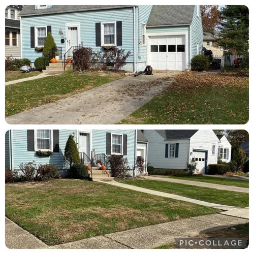 Leaf Removal